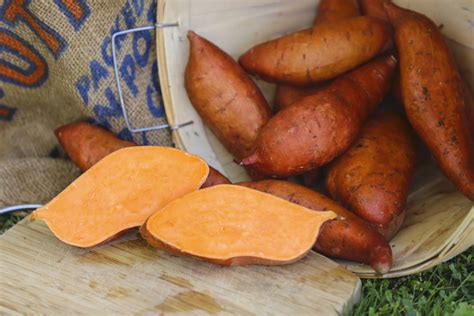 Beaugard Sweet Potato Slips